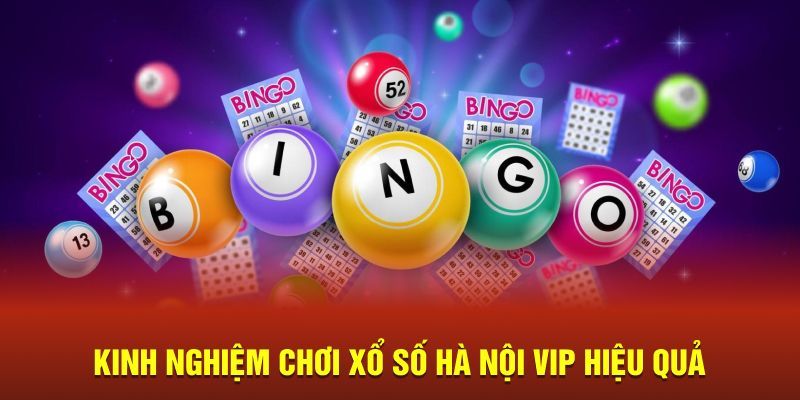 Tổng hợp dữ liệu cần thiết khi chơi HN vip